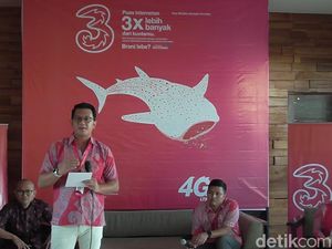 Hiu Paus Jadi Ikon 4G LTE Tri di Gorontalo