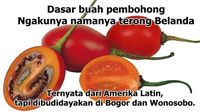 Duh! 8 Meme Kebohongan Makanan Ini Ungkap Fakta Sebenarnya