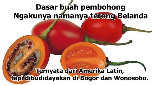 Duh! 8 Meme Kebohongan Makanan Ini Ungkap Fakta Sebenarnya