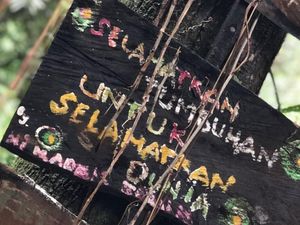 David Beckham: Selamatkan Tumbuhan Untuk Selamatkan Dunia