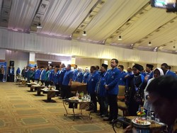 Bendum PAN Nasrullah Mengundurkan Diri