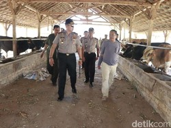 Antisipasi Pencurian hewan Kurban, Ini yang Dilakukan Kapolres Tuban