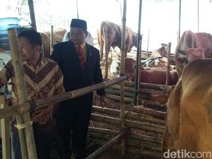 Bupati Uu Geram Banyak Hewan Kurban Belum Diperiksa Kesehatan