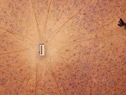 New South Wales Kekeringan, Petani Dibolehkan Tembak Kanguru