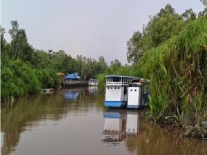 Halo Taman Nasional Tanjung Puting!