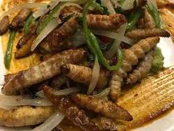 Mengidap Alergi Makanan, Wanita Ini Pilih Makan Serangga dan Cacing