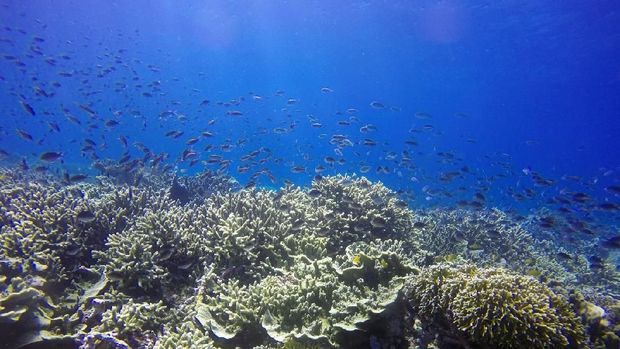 Sekelumit Kisah para Penjaga Pulau Filonga
