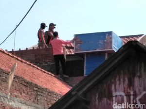 Kerap Jadi Sarana Judi, Kandang Burung Dara di Surabaya Dibongkar Kerap Jadi Sarana Judi, Kandang Burung Dara di Surabaya Dibongkar