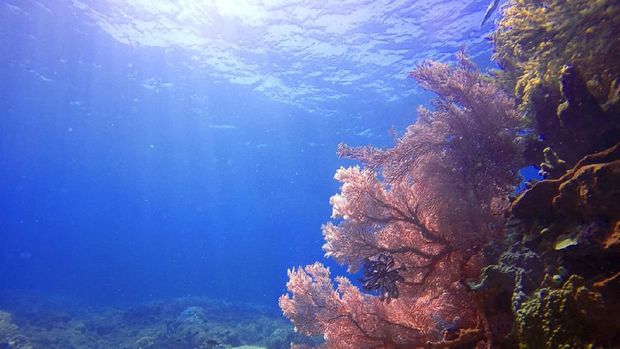 Sekelumit Kisah para Penjaga Pulau Filonga