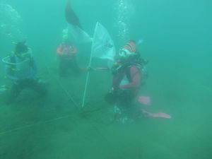 Wanita Selam Indonesia Test Venue Jelang Pecahkan Rekor MURI di Manado