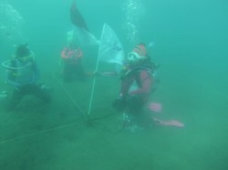 Wanita Selam Indonesia Test Venue Jelang Pecahkan Rekor MURI di Manado