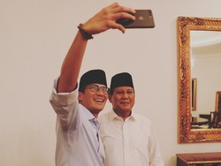 Gerindra Tak Pusing Prabowo-Sandi Tertinggal di 3 Survei Pilpres