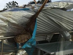 Angin Kencang Landa Tasmania, Sejumlah Penerbangan Tertunda