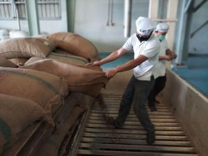 Kementan Genjot Ekspor Cocoa Butter Kendari ke Belanda