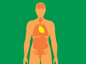 Ragam Tes Kesehatan Capres-Cawapres Ragam Tes Kesehatan Capres-Cawapres