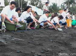 Ini Alasan Menarik Berwisata di Pantai Solong Banyuwangi
