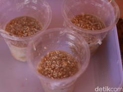 Gurih Harum Memek, Jajanan Khas Simeulue dari Ketan dan Pisang