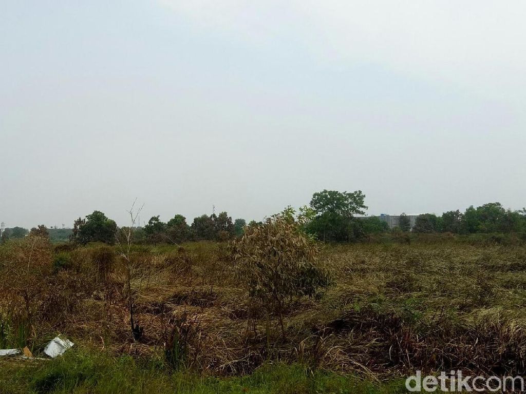 1 Orang Ditangkap Terkait Kebakaran di Dekat Wisma Atlet Jakabaring 1 Orang Ditangkap Terkait Kebakaran di Dekat Wisma Atlet Jakabaring