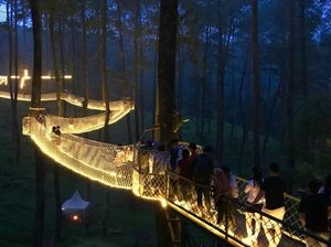 Ini Penampakan Orchid Forest Cikole yang Makin Romantis