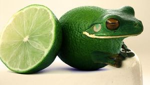 Begini Kerennya Saat Seniman Photoshop Gabungkan Foto Binatang dan Buah