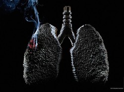 Ternyata Ini Alasan Banyak Perokok Tidak Kena Kanker Paru-paru