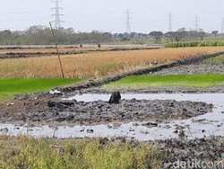 Semburan Air Bercampur Pasir Gegerkan Warga Ngawi Akhirnya Berhenti