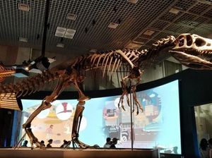 Nimba Ilmu di Museum Alam dan Sains Tokyo
