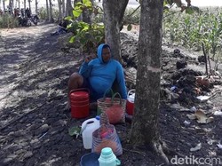 Semburan Air di Ngawi Berhenti, Begini Curhat Pemilik Sawah