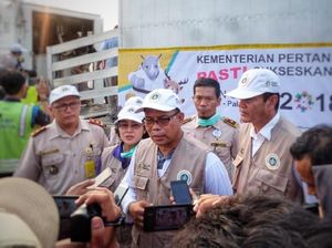 Kementan Cek Kesehatan 17 Kuda Asian Games Asal Belgia