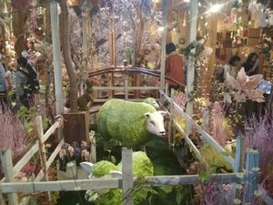 Oleh-oleh Bunga Kering yang Unik dari Jepang Oleh-oleh Bunga Kering yang Unik dari Jepang