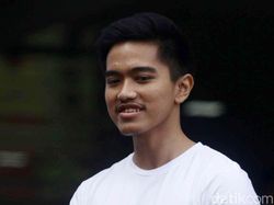Salip Bisnis Mebel Jokowi, Berapa Modal Sang Pisang Punya Kaesang?