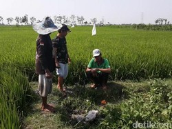 Semburan Air Baru Berhenti, Muncul Dua Semburan Gas Baru di Ngawi