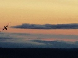 Pencuri Pesawat Seattle Pekerja Maskapai, Tak Punya Lisensi Pilot