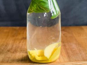 Anak Minum Infused Water, Disarankan atau Tidak? Anak Minum Infused Water, Disarankan atau Tidak?