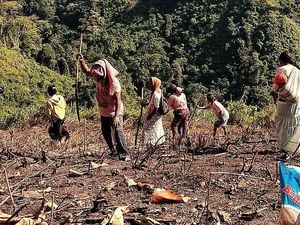 Atasi Kemarau, Pejabat Kementan bakal Turun ke Sawah