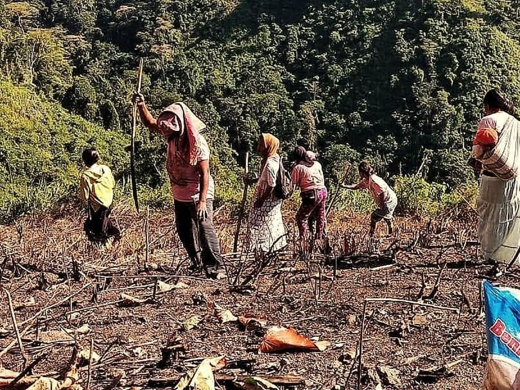 Atasi Kemarau, Pejabat Kementan bakal Turun ke Sawah Atasi Kemarau, Pejabat Kementan bakal Turun ke Sawah