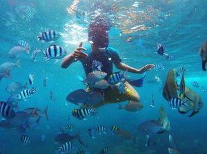 SAR Terus Cari WN China yang Hilang Saat Snorkeling di Gili Air