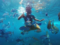 SAR Terus Cari WN China yang Hilang Saat Snorkeling di Gili Air