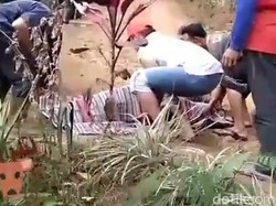 Wisatawan Hutan Pinus di Blitar Tewas Terseret Kuda