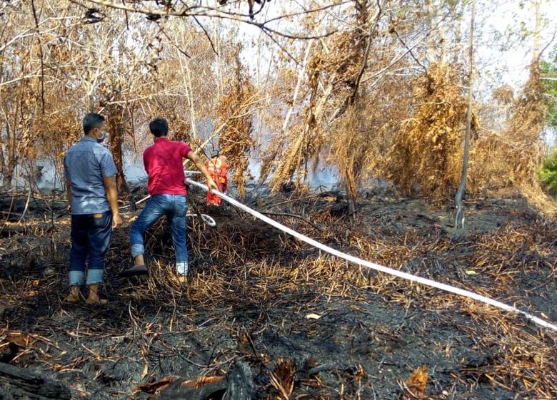 KLHK Waspadai Hotspot Kebakaran Hutan dan Lahan di Bulan Agustus