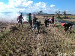19 KK Masih Bertahan di Area Proyek Bandara Kulon Progo