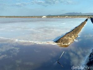 Ingin Tambah Lahan 225 Hektar, PT Garam Terkendala Tanah Adat