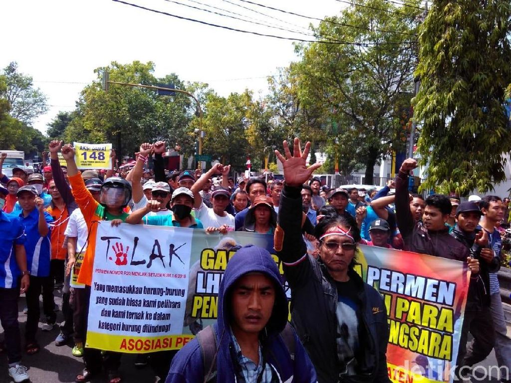 Penghobi Burung Kicau di Klaten dan Sragen Aksi Tolak Permen LHK Penghobi Burung Kicau di Klaten dan Sragen Aksi Tolak Permen LHK