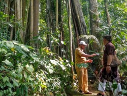 Cerita Mistis dari Gunung Dukuh Ciamis