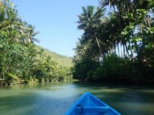 Amazon Mini dari Pacitan