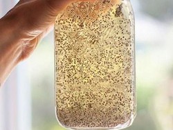 Ini Cara Bakar Lemak dan Turunkan Bobot 7 Kg dalam 10 Hari