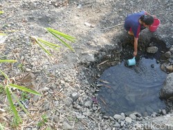 2 Desa di Brebes Diprediksi akan Alami Kekeringan Ekstrem