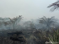 Kebakaran Lahan di Riau, 20 Rumah dan Pondok Ludes