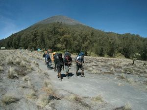 Wah, Kuota Pendaki Gunung Semeru untuk 17 Agustus Sudah Full Wah, Kuota Pendaki Gunung Semeru untuk 17 Agustus Sudah Full