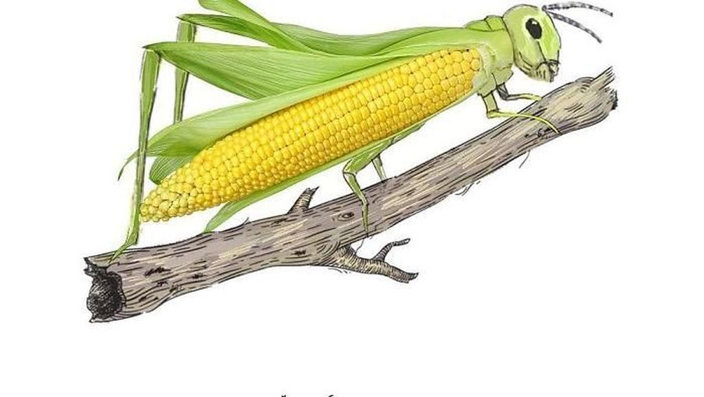 Ilustrator Ini Berkreasi Gunakan Bahan-bahan Rumah Tangga Ilustrator Ini Berkreasi Gunakan Bahan-bahan Rumah Tangga